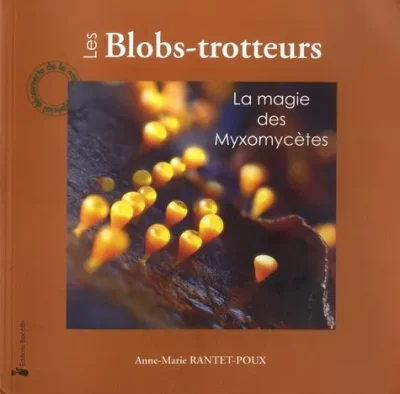 Conference-La-magie-des-Myxomycetes-8211-19-06-2025-8211-Beost_2731256