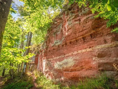 Conference-les-rochers-ruiniformes-des-Vosges-du-Nord-8211-30-09-2025-8211-Niederbronn-les-Bains_2580742
