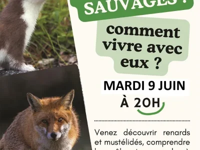 Conference-petits-predateurs-sauvages-8211-09-06-2026-8211-Charmes_3667642
