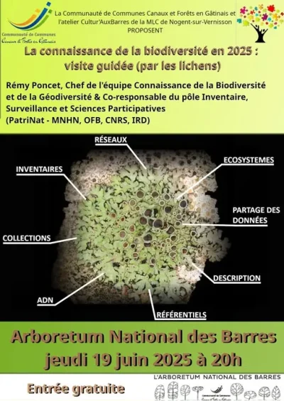 Conference-quotLa-connaissance-de-la-biodiversite-en-2025-visite-guidee-par-les-lichens-par-Remy-Poncet-8211-22-06-2025-8211-Nogent-sur-Vernisson_2716806