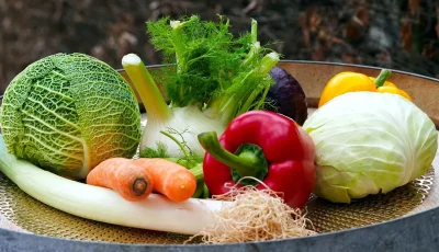 Conference-sante-nutrition-8211-17-10-2025-8211-Beaulieu-sur-Loire_3133733