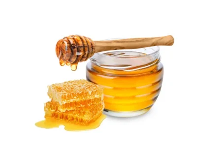 Conference-sur-les-abeilles-8211-26-02-2026-8211-Montpon-Menesterol_3469999