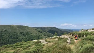 Contrefort-du-Bouges-8211-Trail-n°24-8211-Pont-de-Montvert-8211-Sud-Mont-Lozere_3727335