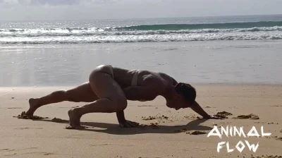 Cours-Yoga-Animal-Flow-8211-14-08-2025-8211-Biscarrosse_2850435