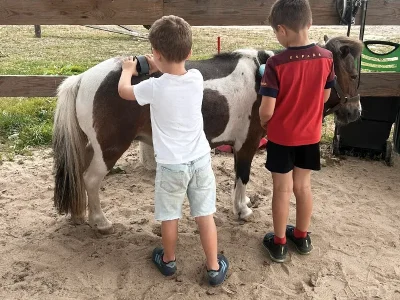 Cours-de-Baby-Poney-au-Domaine-de-Capucine-8211-Branville_3848458