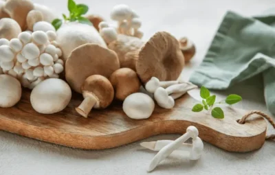 Cours-de-cuisine-Les-champignons-de-nos-bois-8211-11-10-2025-8211-Limoges_3135653