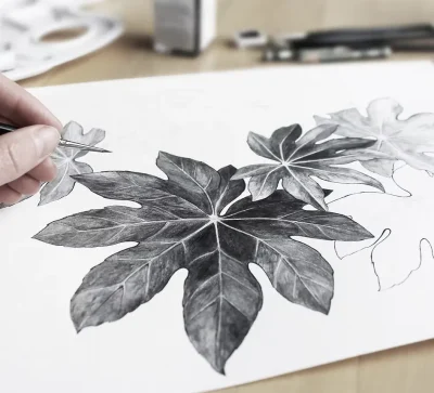 Cours-de-dessin-8211-Tracy-le-Mont_3655749