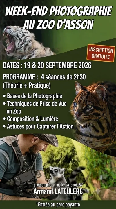 Cours-gratuit-de-photographie-animaliere-8211-20-09-2026-8211-Asson_3749847