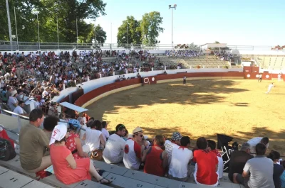 Course-Landaise-et-jeux-d039arenes-8211-24-07-2025-8211-Saint-Sever_2245394