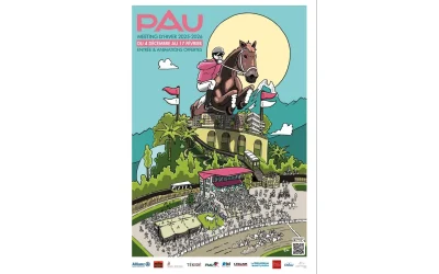 Courses-Hippodrome-de-Pau-8211-Meeting-d039Hiver-8211-20-02-2026-8211-Pau_3412584