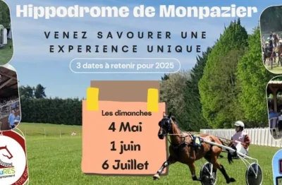 Courses-de-chevaux-8211-06-07-2025-8211-Marsales_2345867
