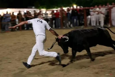 Courses-de-vaches-au-centre-ville-8211-22-02-2026-8211-Hasparren_3343615