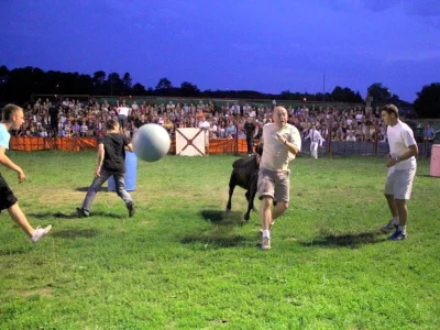 Courses-de-vaches-landaises-8211-14-07-2025-8211-Ondres_2561290