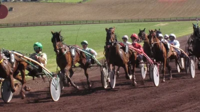 Courses-hippiques-8211-Castillonnes-8211-14-06-2026-8211-Castillonnes_3329522