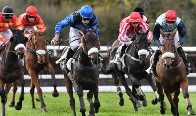 Courses-hippiques-du-1er-novembre-8211-01-11-2025-8211-La-Celle-Conde_2585973