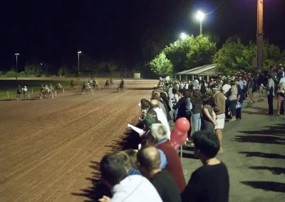 Courses-hippiques-en-nocturne-8211-Villereal-8211-29-08-2026-8211-Villereal_3483871