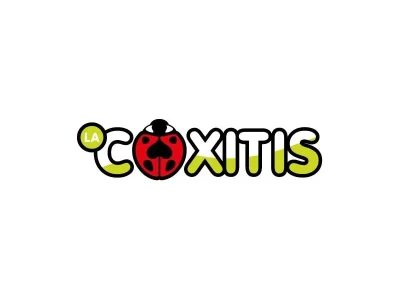 Coxitis-8211-la-navette-gratuite-du-centre-ville-de-Pau-8211-Pau_379500