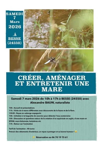 Creer-Amenager-et-entretenir-une-mare-avec-Alexandre-Bauw-8211-07-03-2026-8211-Besse_3558393