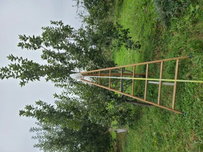 Creer-un-verger-foret-nourricier-et-l039entretenir-8211-14-02-2026-8211-Assat_3481861