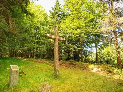 Croix-de-Fresse-8211-Fresse-sur-Moselle_3884557