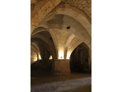 Crypte-Saint-Andre_556325