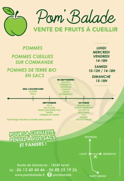 Cueillette-de-fruits-et-legumes-chez-Pom039Balade-8211-22-08-2026-8211-Levet_3788180