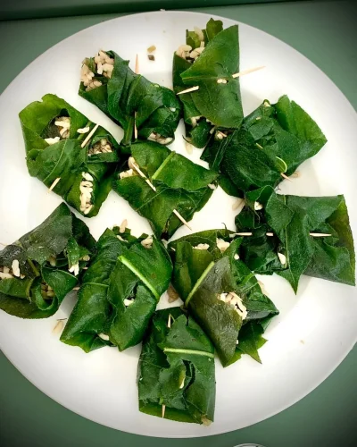 Cueillette-et-cuisine-des-plantes-sauvages-comestibles-8211-13-04-2026-8211-Arthez-d039Asson_3590485
