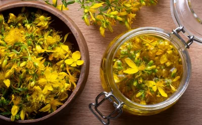 Cuisinons-les-plantes-sauvages-8211-26-04-2026-8211-Ecluzelles_3465192