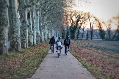 CycloPub-8211-Aix-en-velo-et-segway-8211-Aix-en-Provence_2704399
