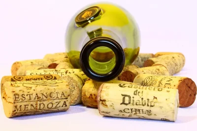 DANS-LA-PEAU-D039UN-VIGNERON-CREEZ-VOTRE-VIN-8211-27-09-2025-8211-Montpeyroux_2990272