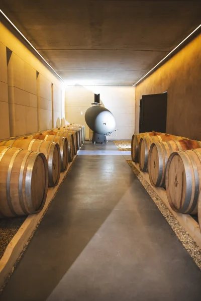DEGUSTATION-DECOUVERTE-8211-Lauret_1978464