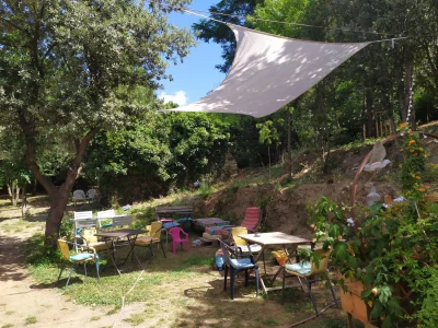 DJO039LLY-TRUCK-8211-Saint-Vincent-d039Olargues_3114612