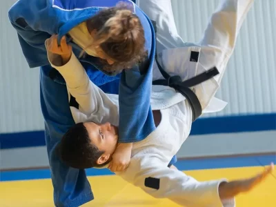 DOJO-DE-THIONVILLE-ET-ELANGE_308130