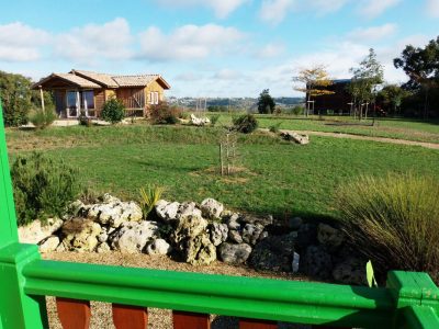 DOMAINE-CADETS-DE-GASCOGNE_53279