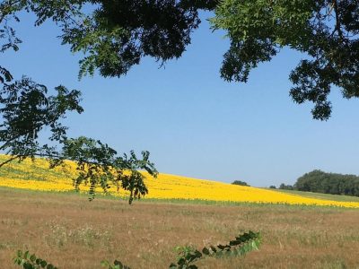 DOMAINE-DE-LASSALLE_151236