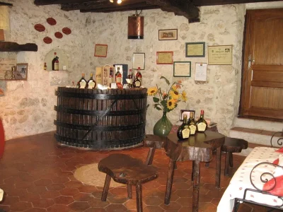 DOMAINE-DU-PETO-8211-Larroque-sur-l039Osse_2472600