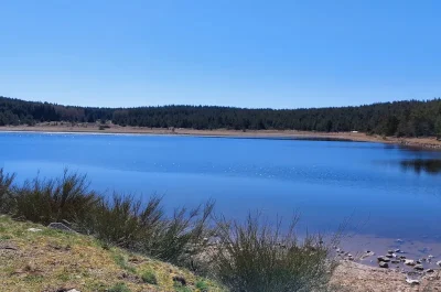 DU-FINIELS-A-L039ETANG-DE-BARRANDON-8211-VTT-N°16-8211-Mont-Lozere-et-Goulet_20039