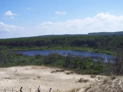 DUNE-FORET-LITTORALE-RESERVE-BIOLOGIQUE-DE-LA-MAILLOUEYRE_1066442