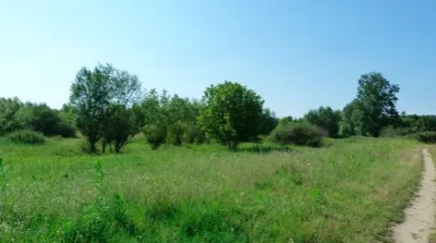 Dampierre-en-Burly-8211-Dampierre-en-Burly_3515606