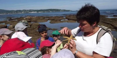 Dans-les-rochers-a-maree-basse-8211-17-07-2026-8211-Hendaye_3475394