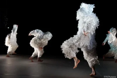 Danse-8211-A4-comme-la-feuille-8211-26-09-2026-8211-Sarreguemines_3718233