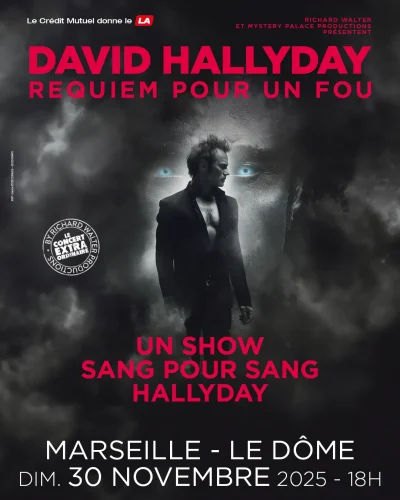 David-Hallyday-8211-30-11-2025-8211-Marseille-4e-Arrondissement_3178328