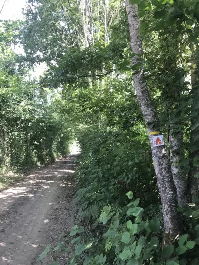 De-l039homme-et-de-la-nature-variante-de-4-km_1062274