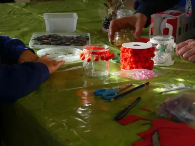 Decoration-de-Noel-naturelle-a-Terres-d039Oiseaux-8211-03-12-2025-8211-Braud-et-Saint-Louis_2120645