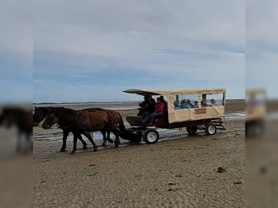 Decouverte-de-la-Pecherie-quotLa-Maillardquot-en-caleche-8211-15-08-2026-8211-Montmartin-sur-Mer_3792238