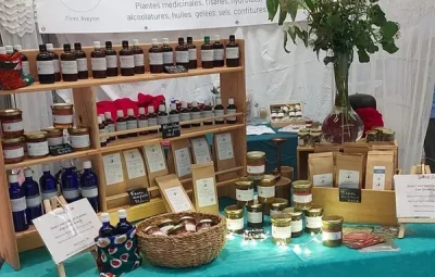Decouverte-des-plantes-medicinales-8211-Cransac-les-Thermes_3787069