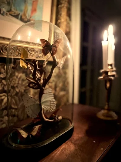 Decouverte-nocturne-du-chateau-de-Carneville-8211-20-02-2026-8211-Carneville_3391155