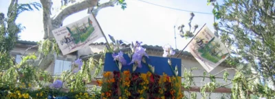 Defile-de-la-charrette-des-anes-et-foire-aux-fleurs-8211-01-05-2026-8211-Saint-Remy-de-Provence_3489903