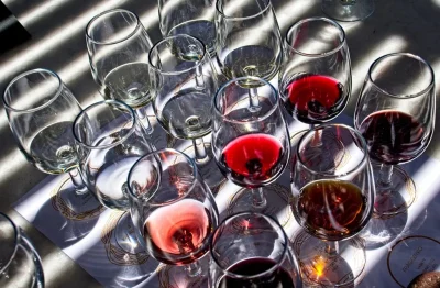 Degustation-a-l039aveugle-et-apero-vigneron-8211-19-07-2025-8211-Fougueyrolles_2938942