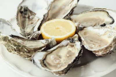 Degustation-d039huitres-8211-23-12-2025-8211-Luynes_3299582